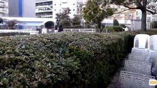 瘦女孩在高清视频中被屁股操并口交